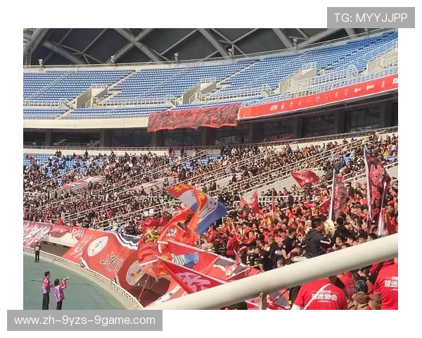 足球赛事中的观众体验与现场氛围