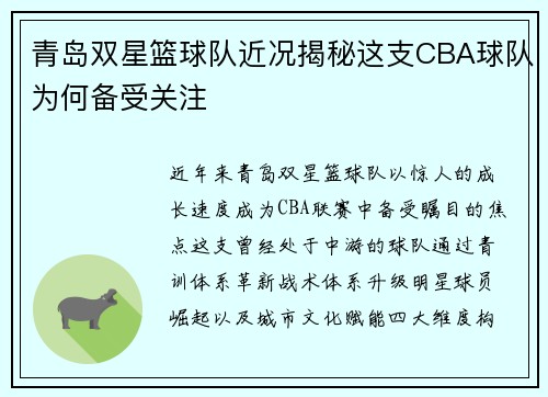 青岛双星篮球队近况揭秘这支CBA球队为何备受关注