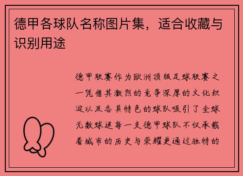 德甲各球队名称图片集，适合收藏与识别用途