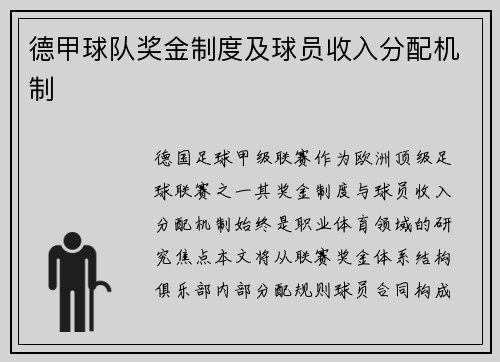 德甲球队奖金制度及球员收入分配机制